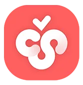 Cherry Studio