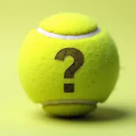 Guess The Prompt!