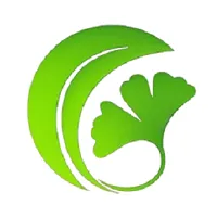 白果Ai论文