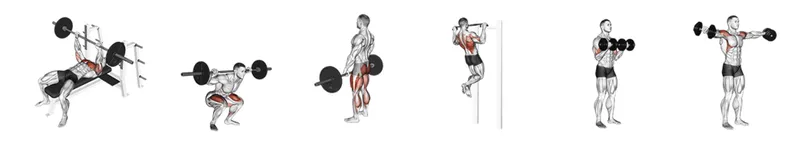 exercises-dataset