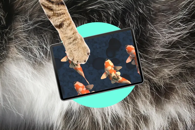Cat’s paw touching an iPad with fish swimming on the screen.