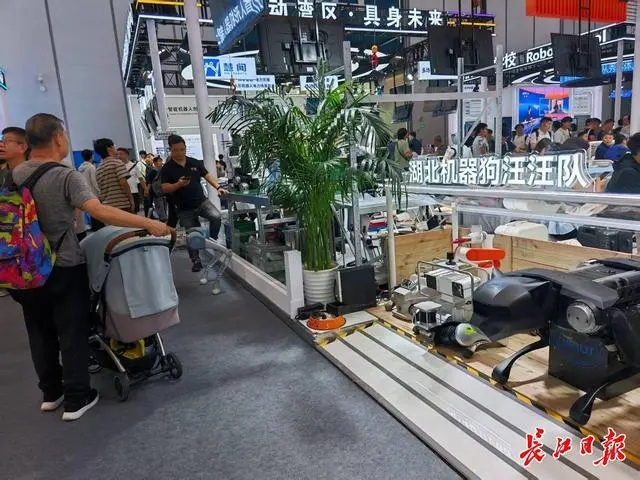 武汉机器人圈粉世界机器人大会
