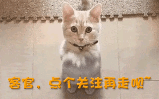 英伟达业绩炸裂 光模块再掀涨停潮