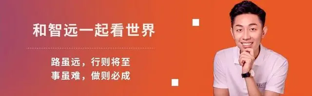 博主：比亚迪的利润出海了
