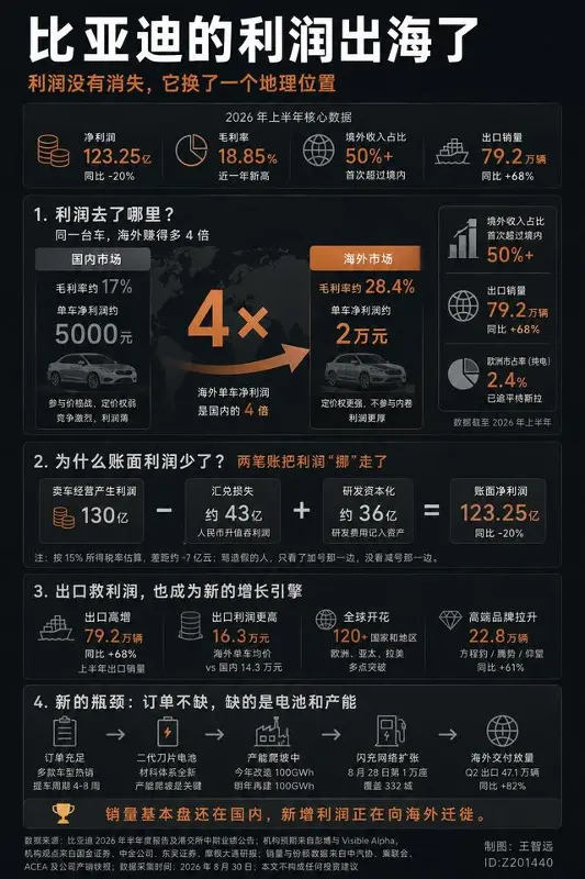 博主：比亚迪的利润出海了