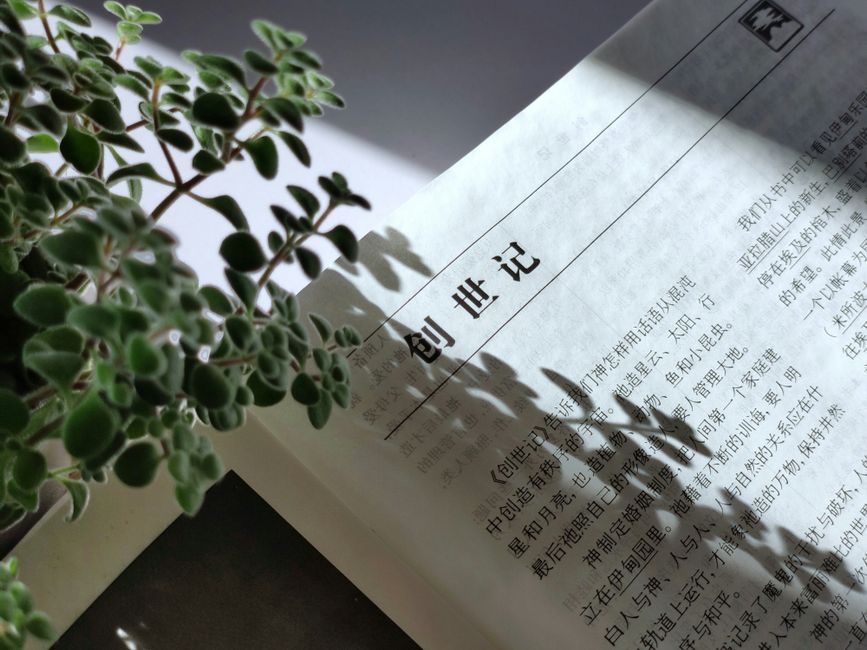 文章配图