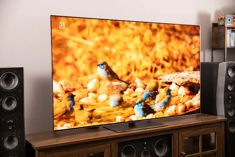 The LG G5 OLED TV on a wooden home theater credenza, displaying an image of small colorful birds.