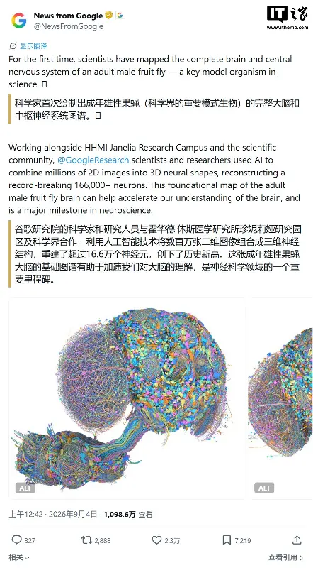 谷歌首绘果蝇全脑图谱,超 16.6 万神经元被开发者拉去训练《毁灭战士》