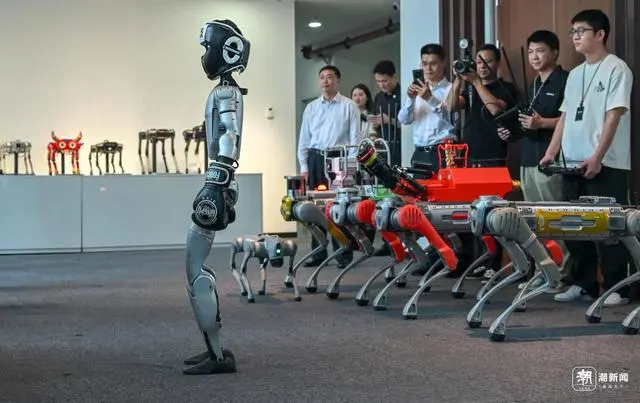 媒体：人形机器人正向实用“超进化”