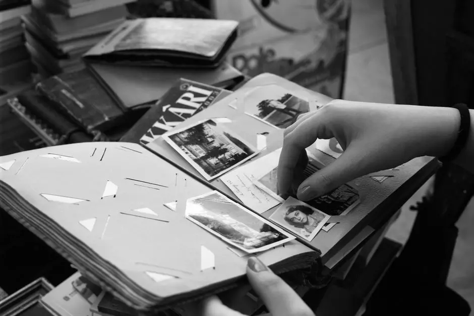 代码显示谷歌正为 Google Photos 应用引入“分享用二维码保存至本地”及全新“收藏集”标签页功能