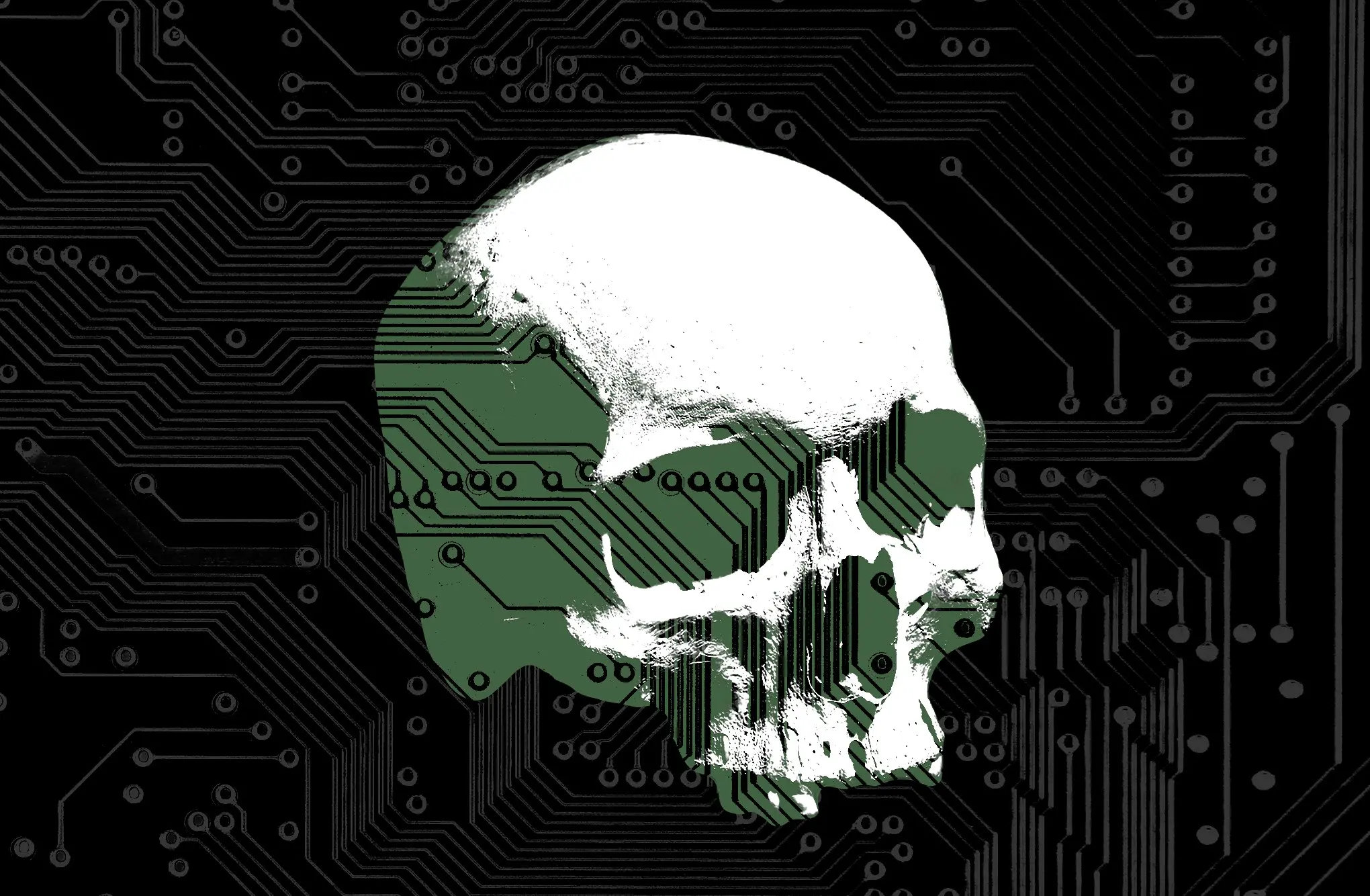 Skull with circuitboard graphic overlayed.