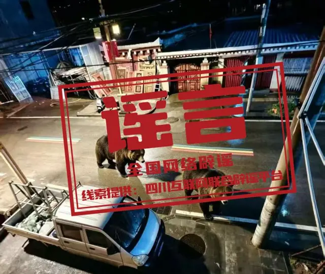 “四川甘孜州街头出现棕熊”系AI伪造