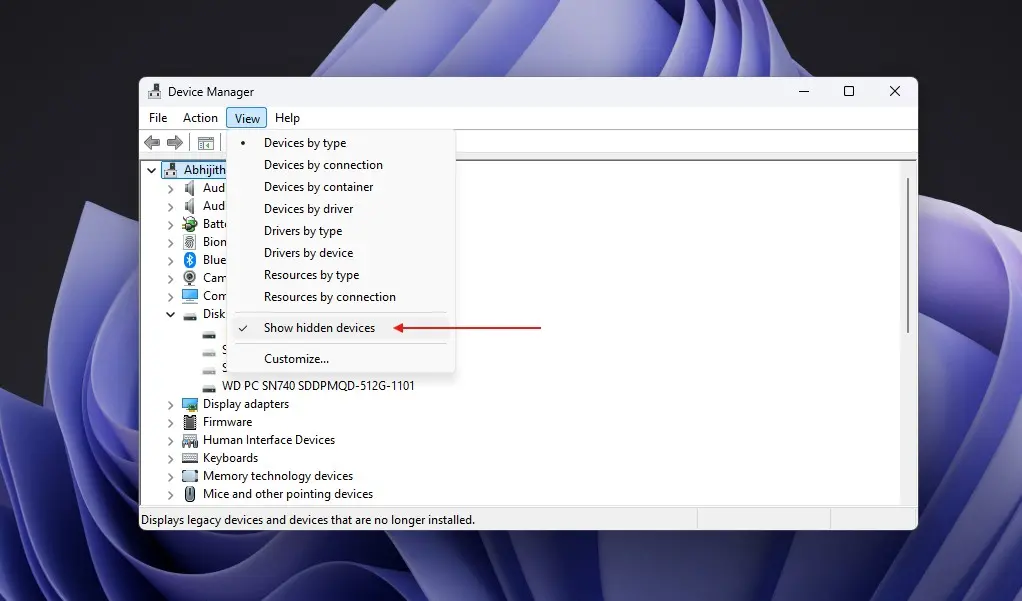Device Manager view hidden devices setting