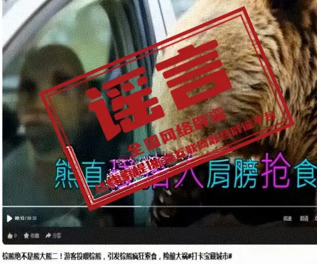 网传喀纳斯棕熊索食系AI编造