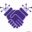 Articoolo
