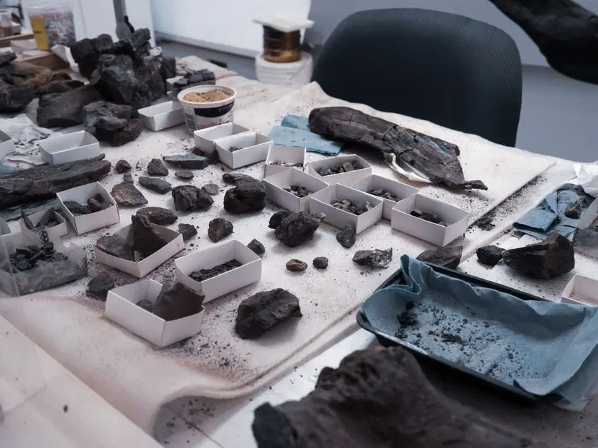 Neanderthal wooden tools from Spain found preserved in stone