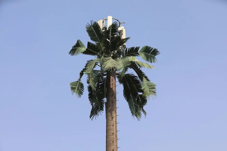 Feds Got Warrants to Use Fake Cell Towers to Hunt Down Don Lemon's Producer