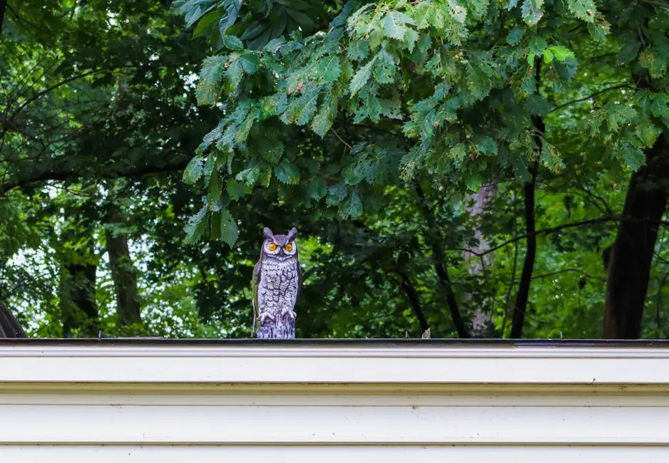 Flox Intelligence is building AI to keep wildlife away from trains, airports, and roads