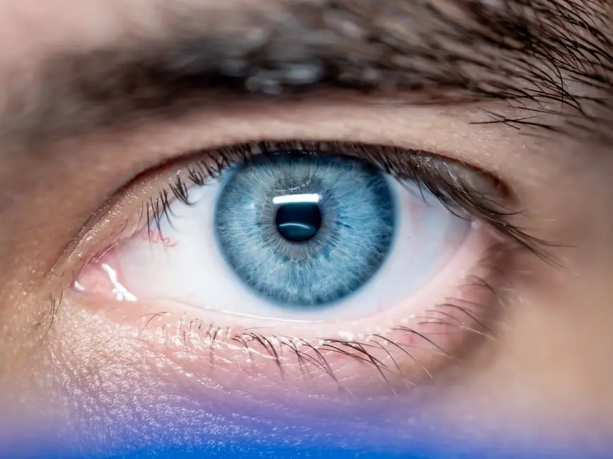 Neuralink 前总裁的视力芯片，让遗传性眼病患者重新读出了单词