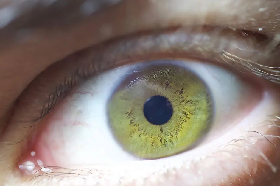 Science Corporation implants its vision-restoring chip in its first Stargardt disease patient