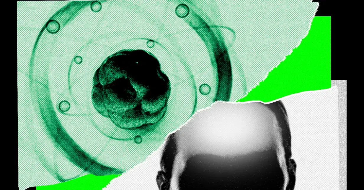 AI攻克数学后，正瞄准整个科学界