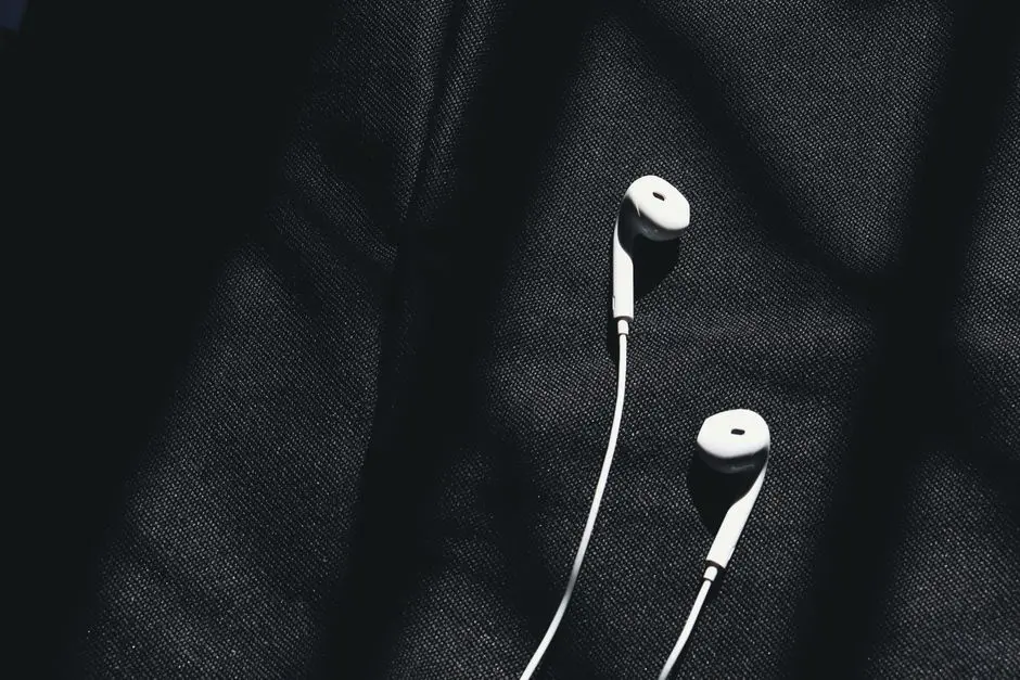 Bose’s new wired earbuds are simple in the best way
