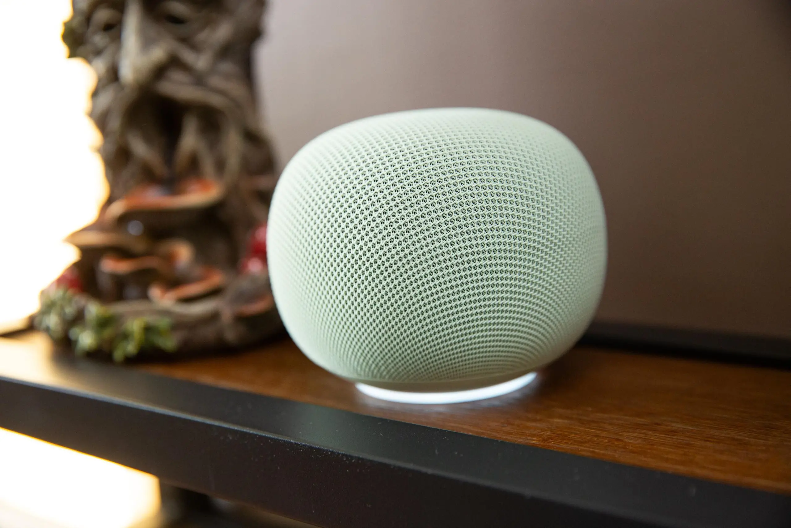 A Google Home Speaker.