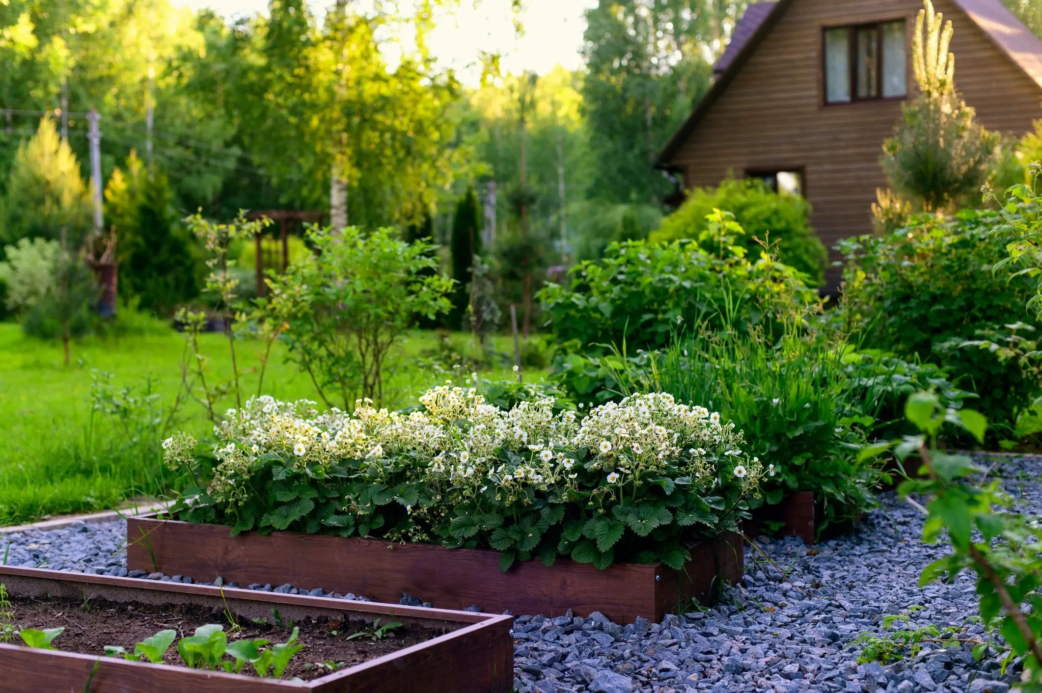 AI Gardener
