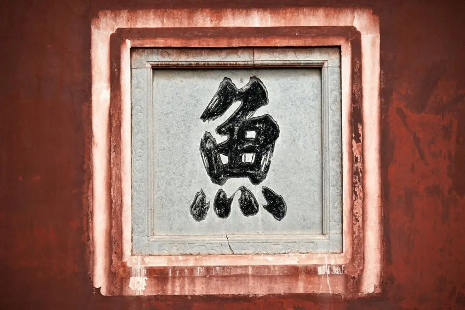 田柯宇错了,但他付出的代价太小了