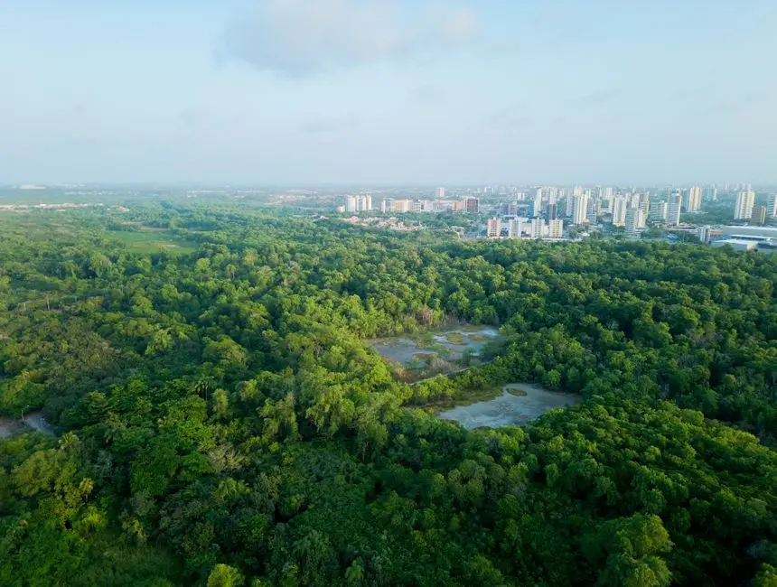 王坚院士警示：科技已到分水岭，以后都应以降低自然资源消耗为目的