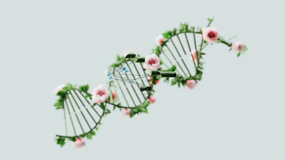 OpenAI 宣布收购 AI 生物科技初创企业 Orchestra Bio