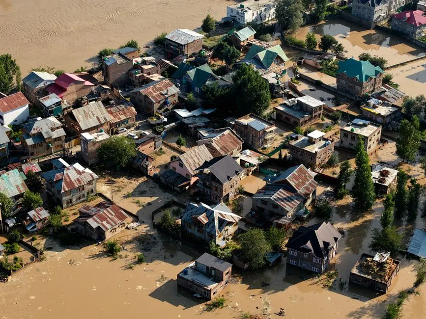 Patch the Planet: global response coordination as agents uncover vulnerabilities