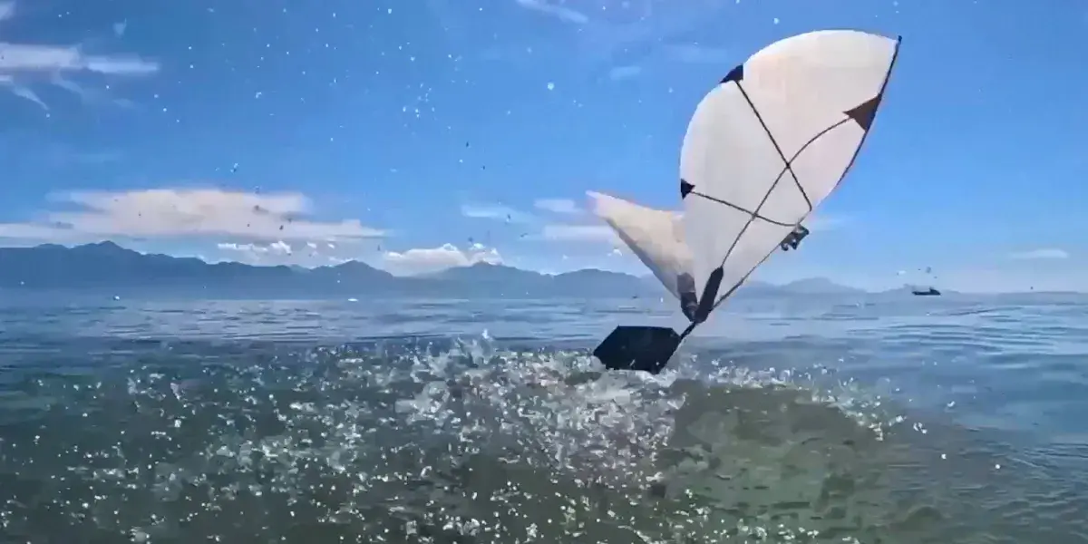 会潜水也会飞的机器海鹦，来了