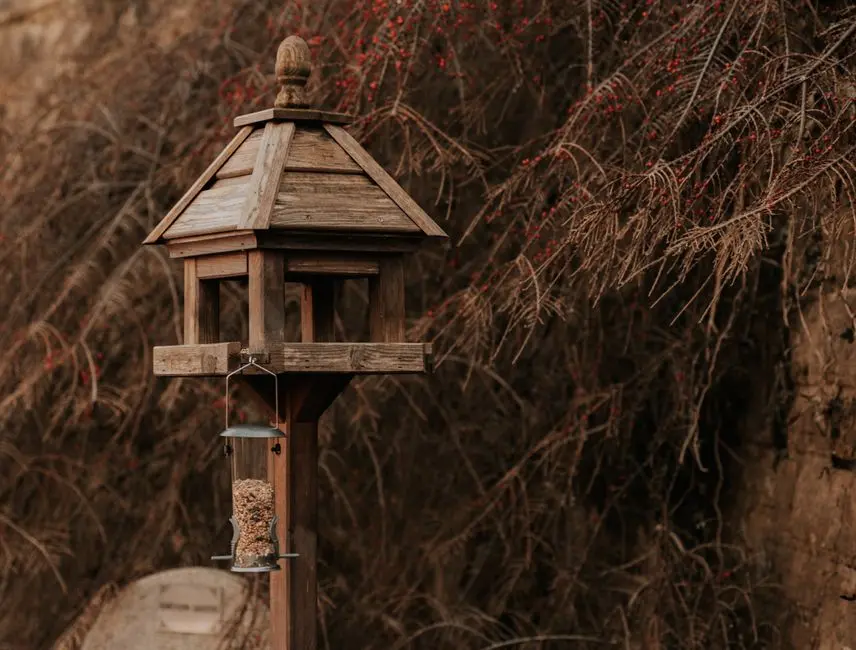 Coolfly’s solar-powered Aura Smart Bird Feeder is nearly 50 percent off