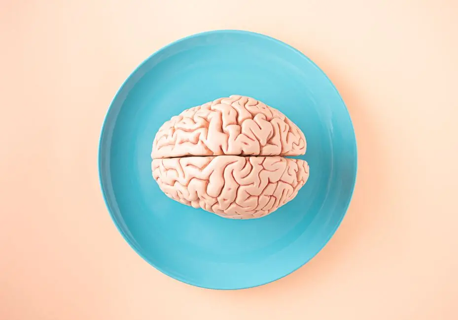 Neural chip decodes interactions between brain regions