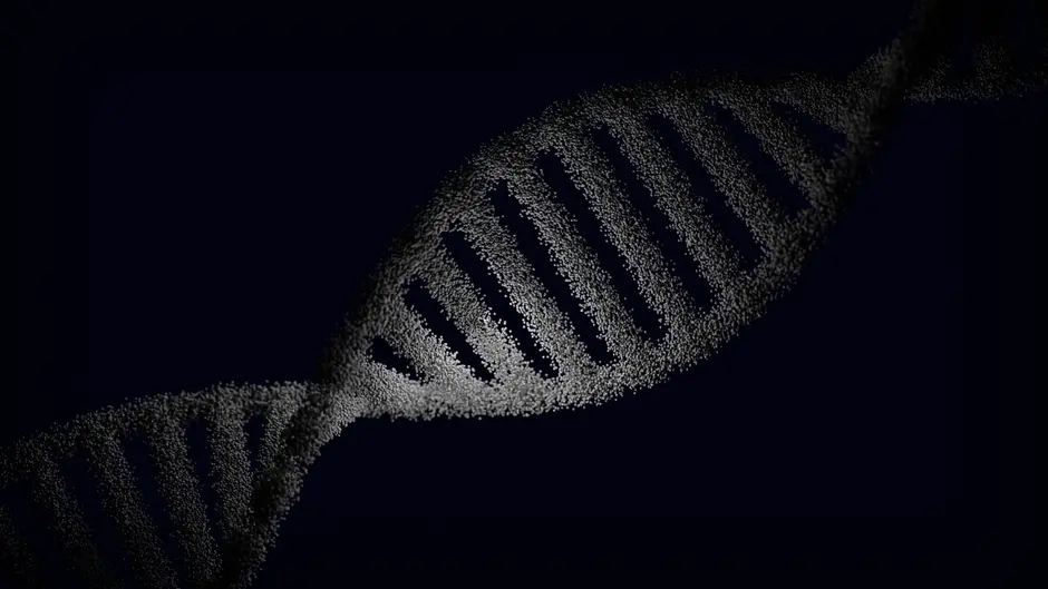 市场监管总局批准发布 2 项生物芯片国家标准,时隔 15 年更新、行业术语有了“普通话”